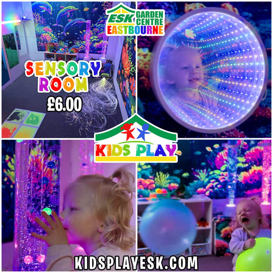 SENSORY ROOM HIRE